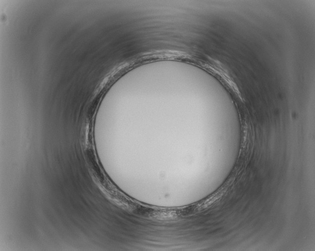 X0000084030110200702160902