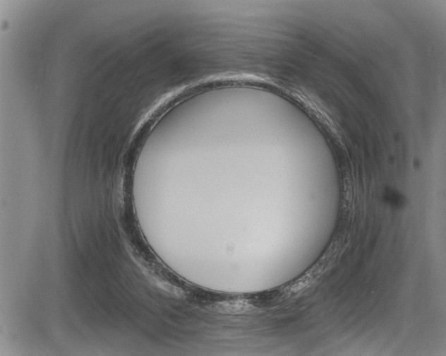 X0000084030112200702160902