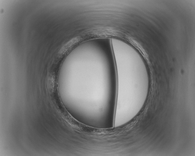 X0000084030113200702160902