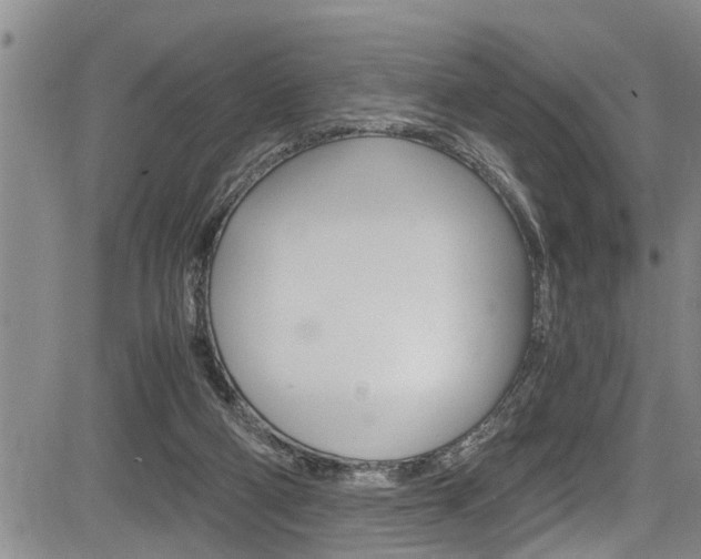 X0000084030114200702160902