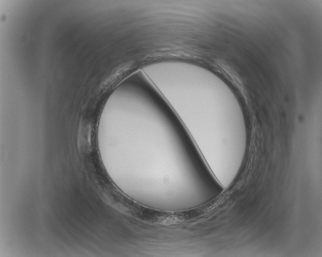 X0000084030115200702160902