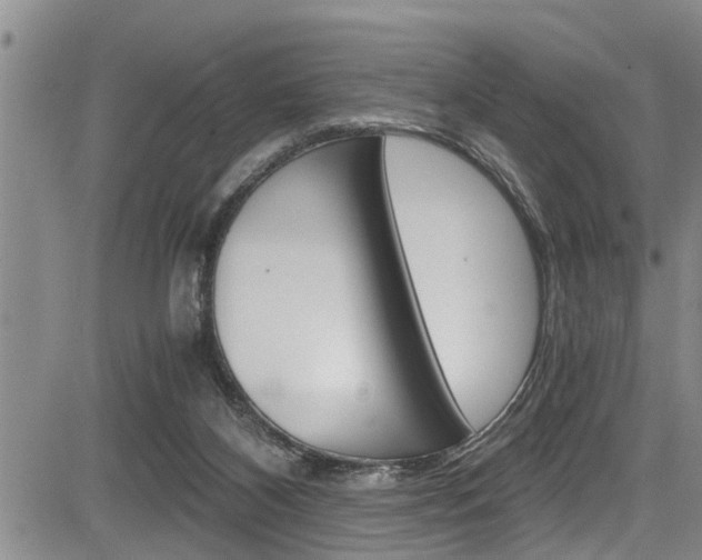 X0000084030116200702160902