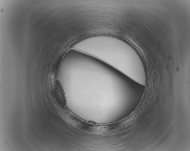 X0000084030117200702160902