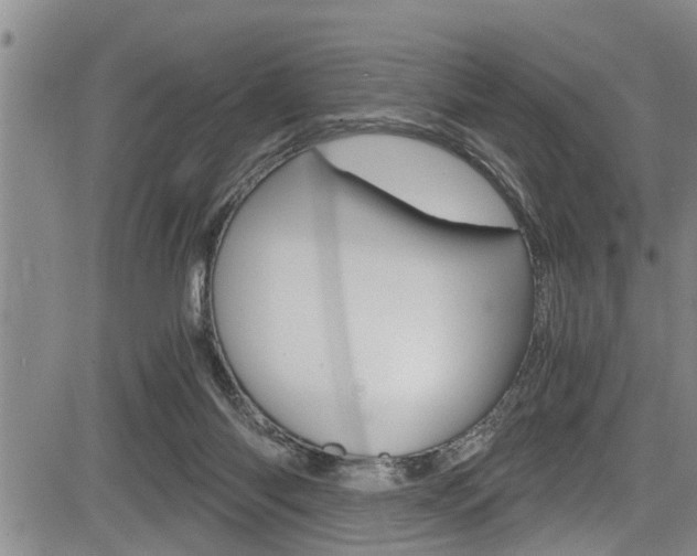 X0000084030118200702160902