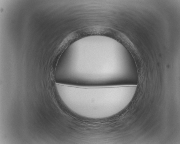 X0000084030119200702160902