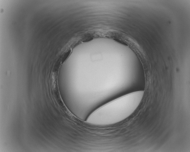 X0000084030121200702160902