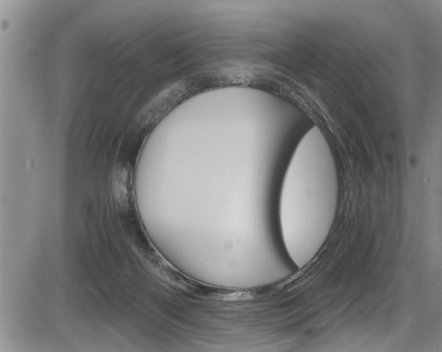 X0000084030122200702160902