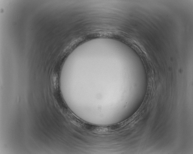 X0000084030123200702160902