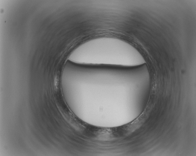 X0000084030124200702160902