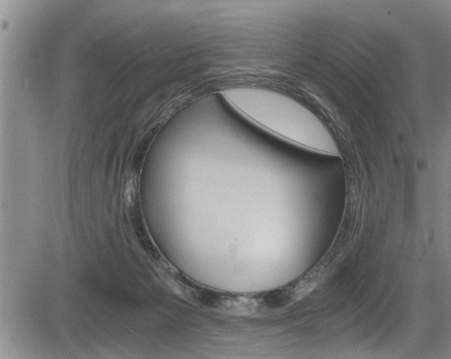 X0000084030125200702160902