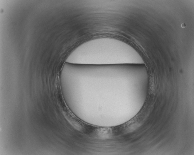 X0000084030126200702160902