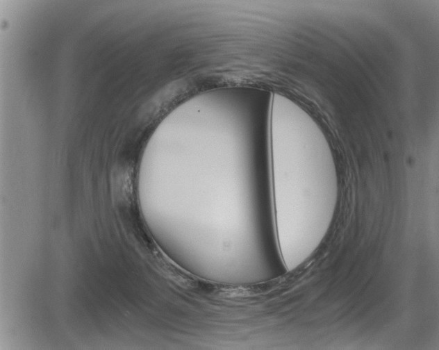 X0000084030127200702160902