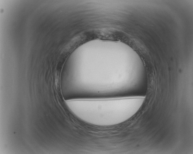 X0000084030129200702160902