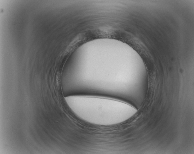 X0000084030131200702160902