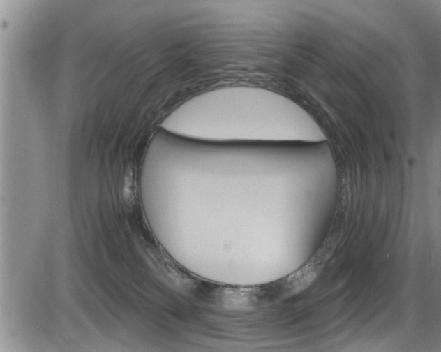 X0000084030134200702160902