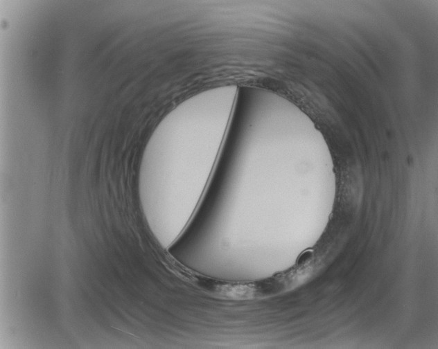 X0000084030135200702160902