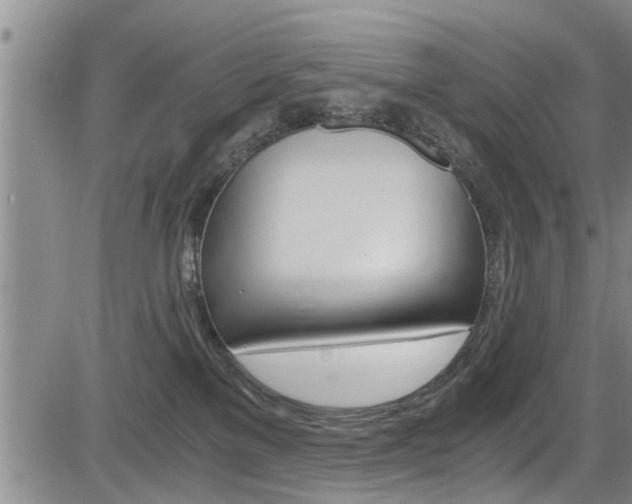 X0000084030137200702160902