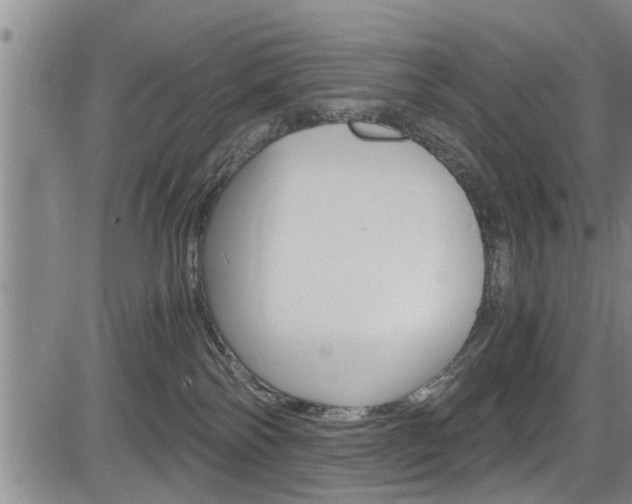 X0000084030138200702160901