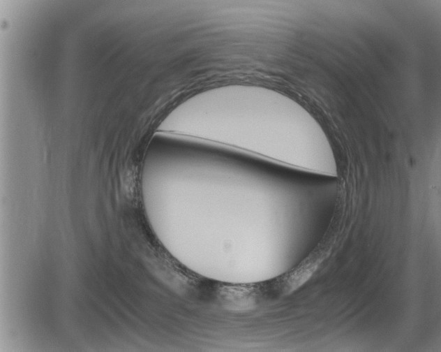 X0000084030139200702160901