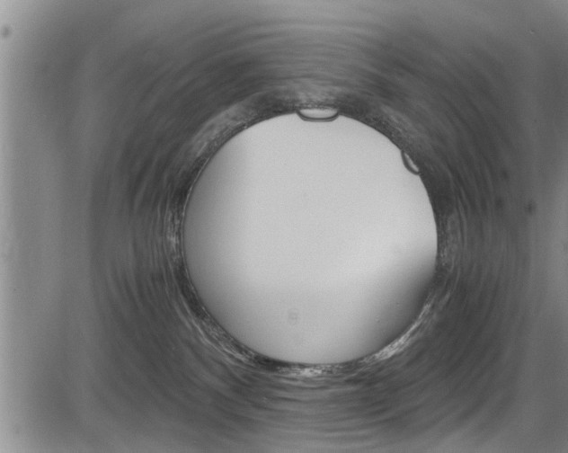 X0000084030140200702160901