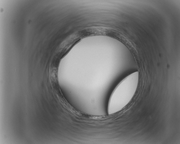 X0000084030141200702160901