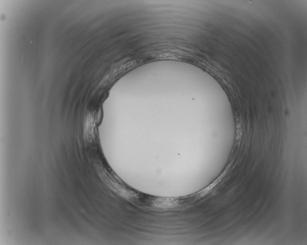 X0000084030142200702160901