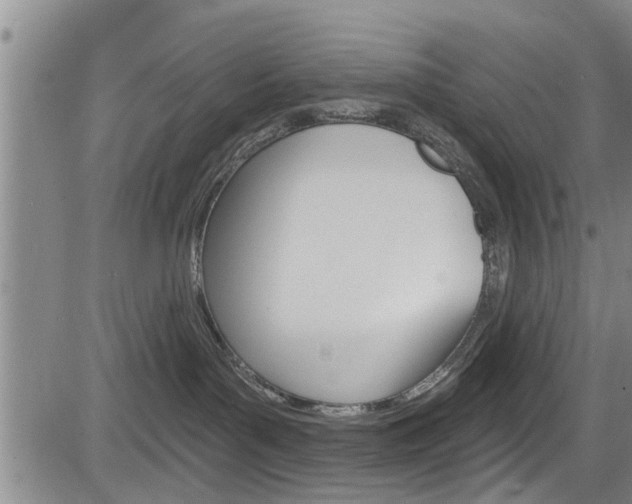 X0000084030143200702160901