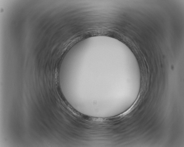 X0000084030144200702160901