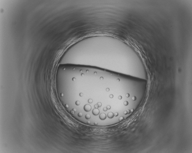 X0000084030145200702160901