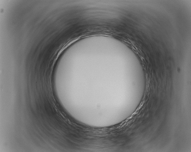 X0000084030146200702160901