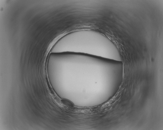 X0000084030147200702160901