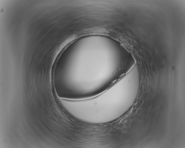 X0000084030148200702160901