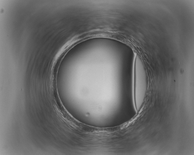 X0000084030150200702160901