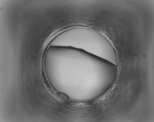 X0000084030151200702160901