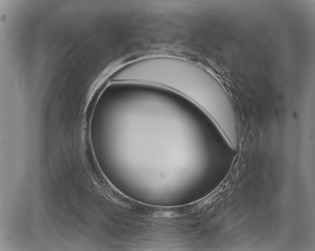 X0000084030152200702160901