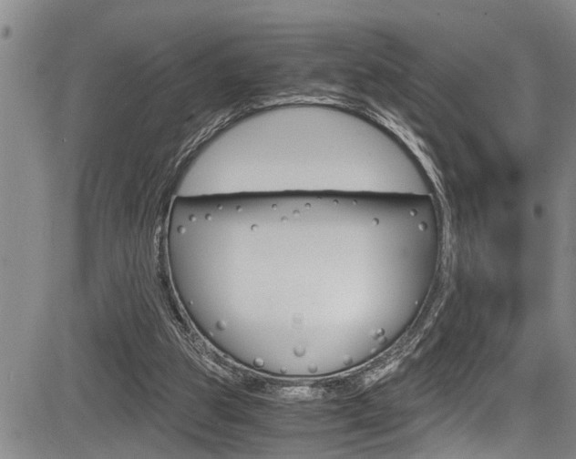 X0000084030153200702160901