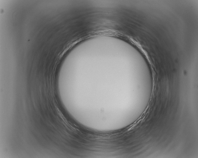 X0000084030154200702160901