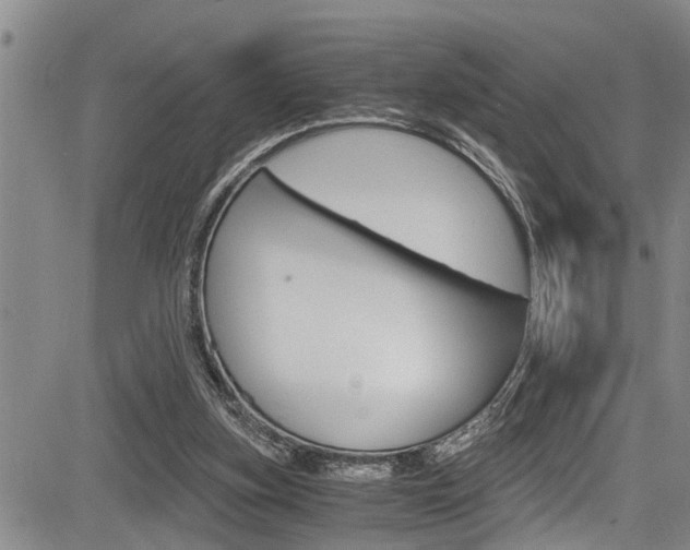 X0000084030155200702160901