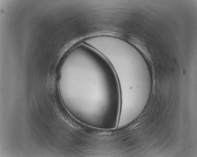 X0000084030156200702160901