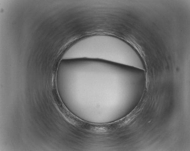 X0000084030157200702160901