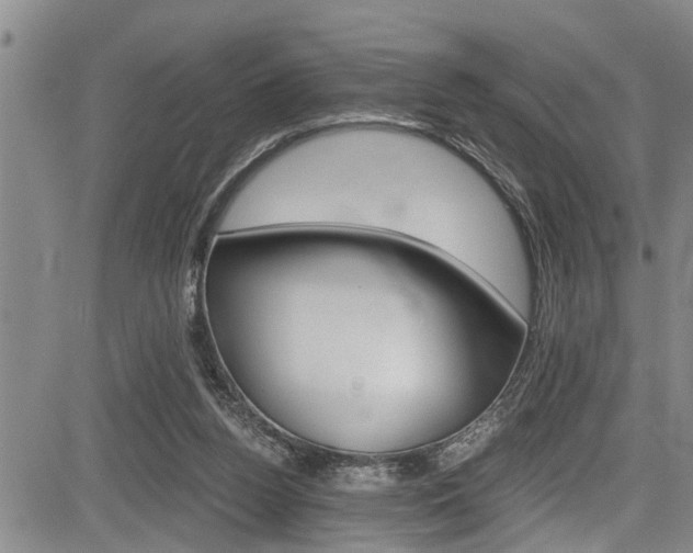 X0000084030160200702160901