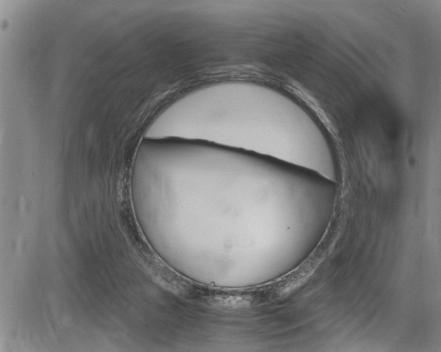 X0000084030161200702160901