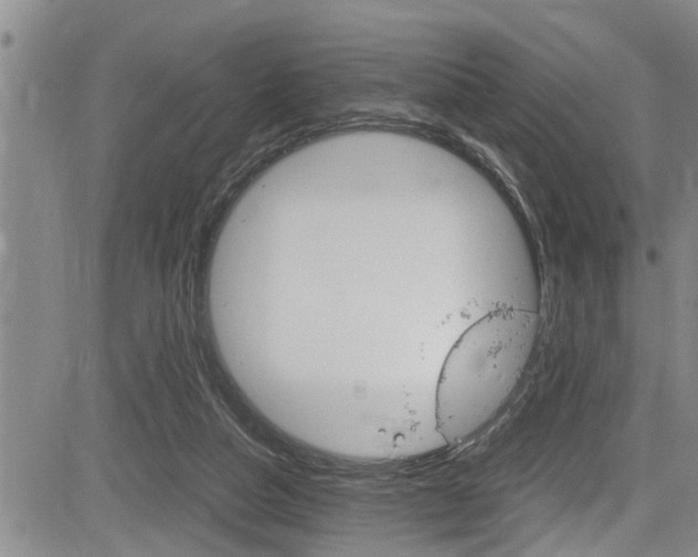 X0000084030162200702160901