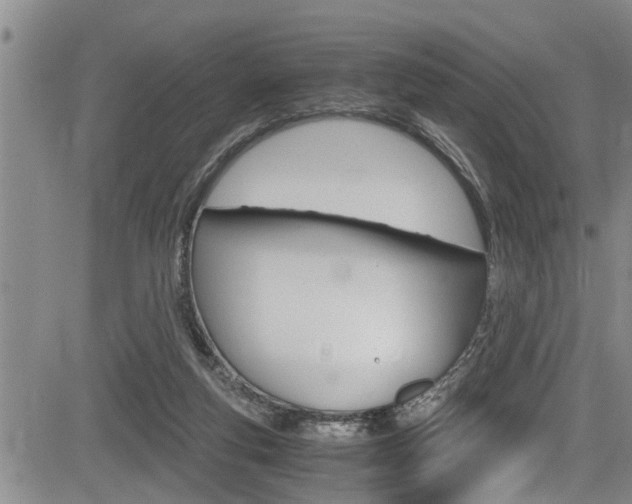 X0000084030163200702160901