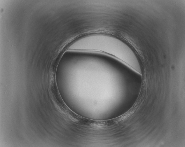 X0000084030164200702160901