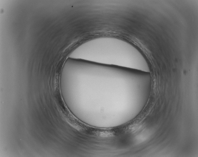 X0000084030165200702160901