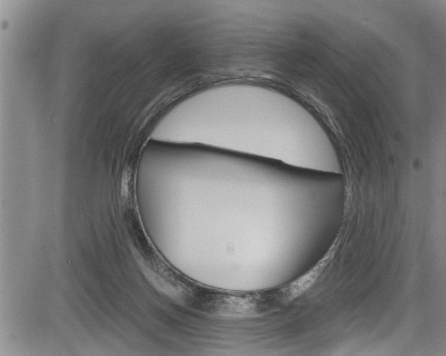 X0000084030166200702160901