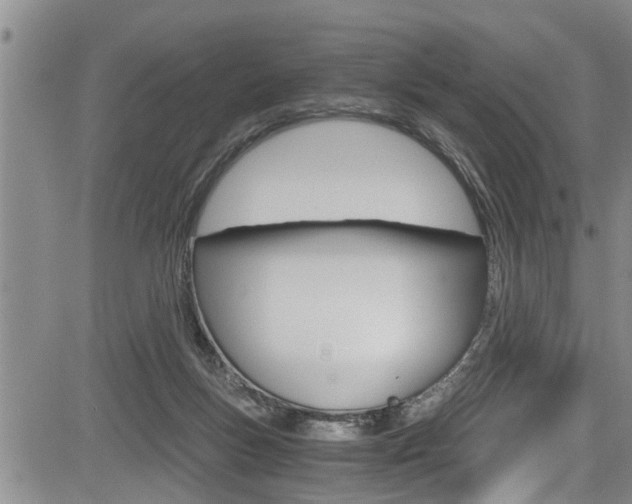 X0000084030167200702160901