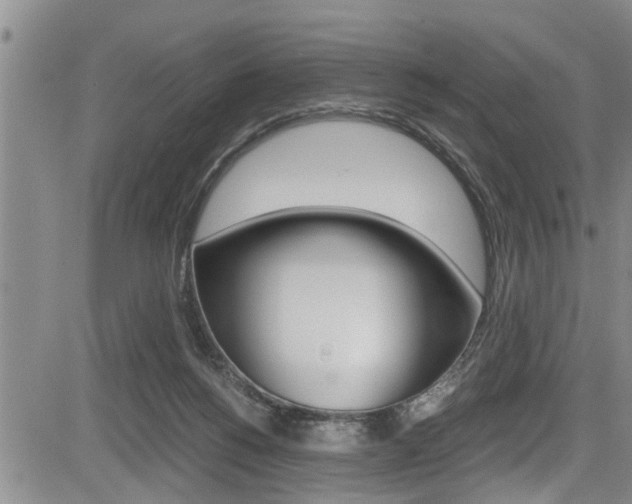 X0000084030168200702160901