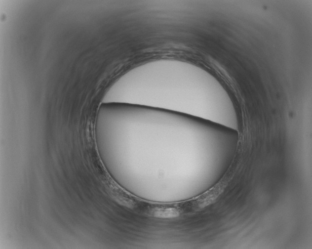 X0000084030169200702160901